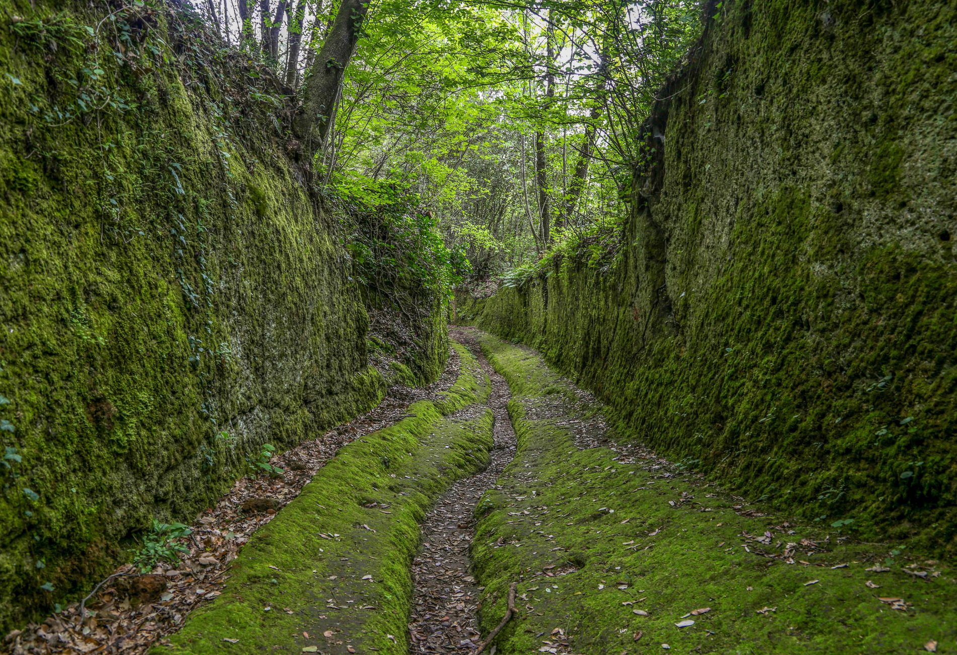 Via Cava in Sorano