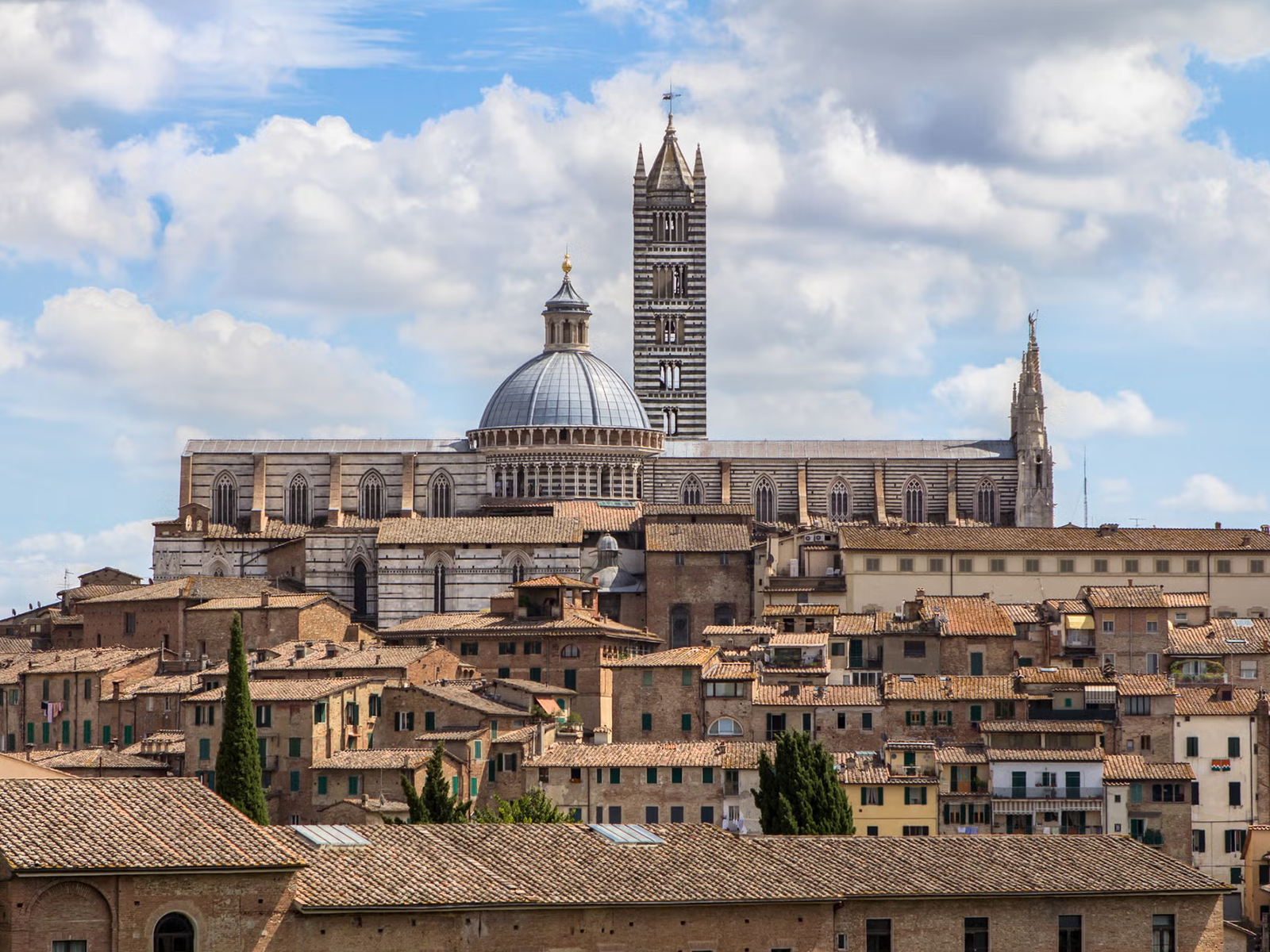 E-bike tour from Siena to Brolio Castle
