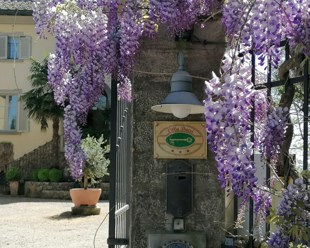 Villa Ducci San Gimignano Villa Ducci San Gimignano