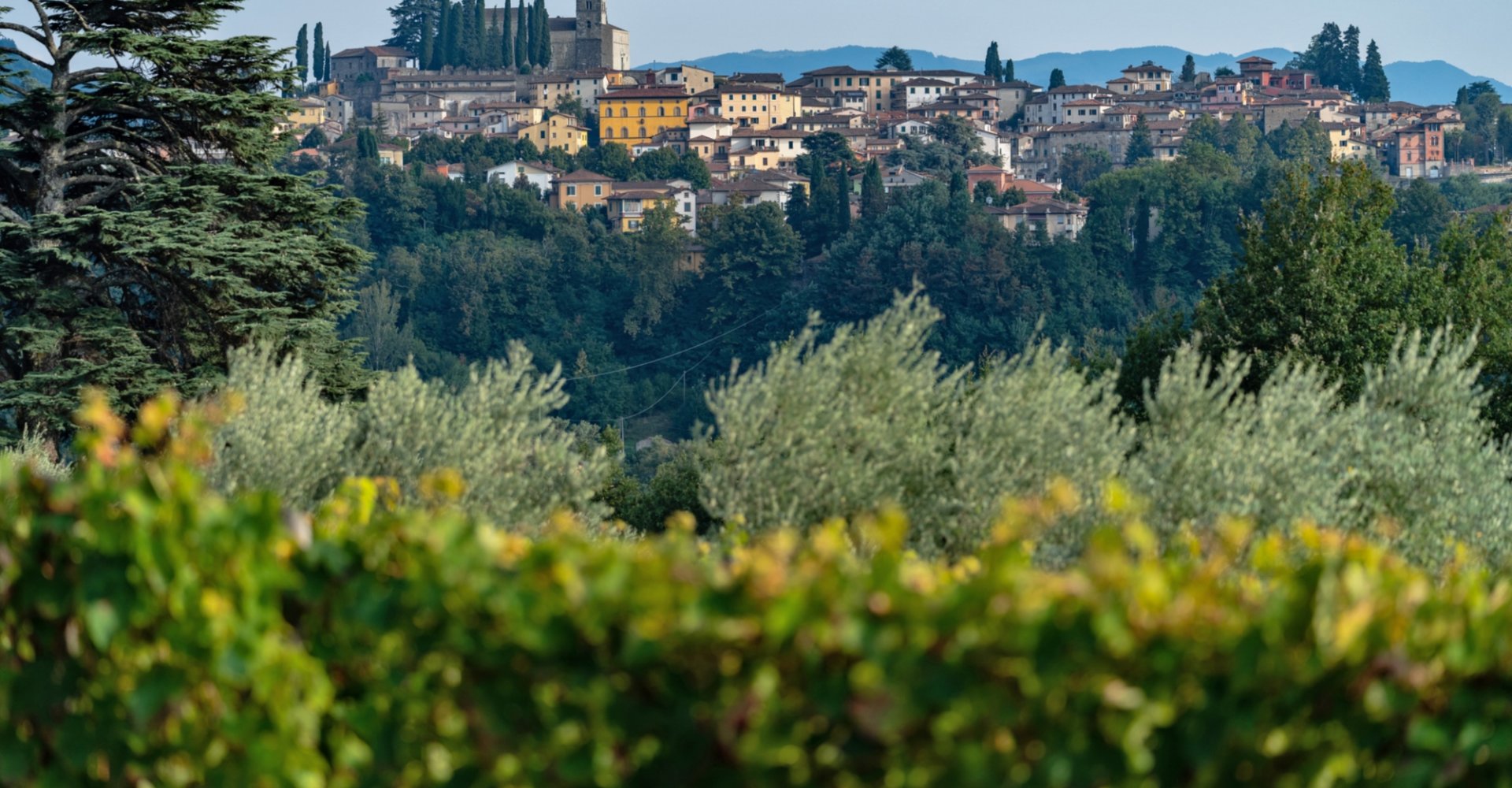 Veduta di Barga Veduta di Barga