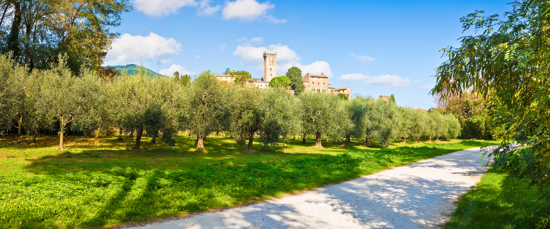 Vicopisano - Oil Trail - Terre di Pisa