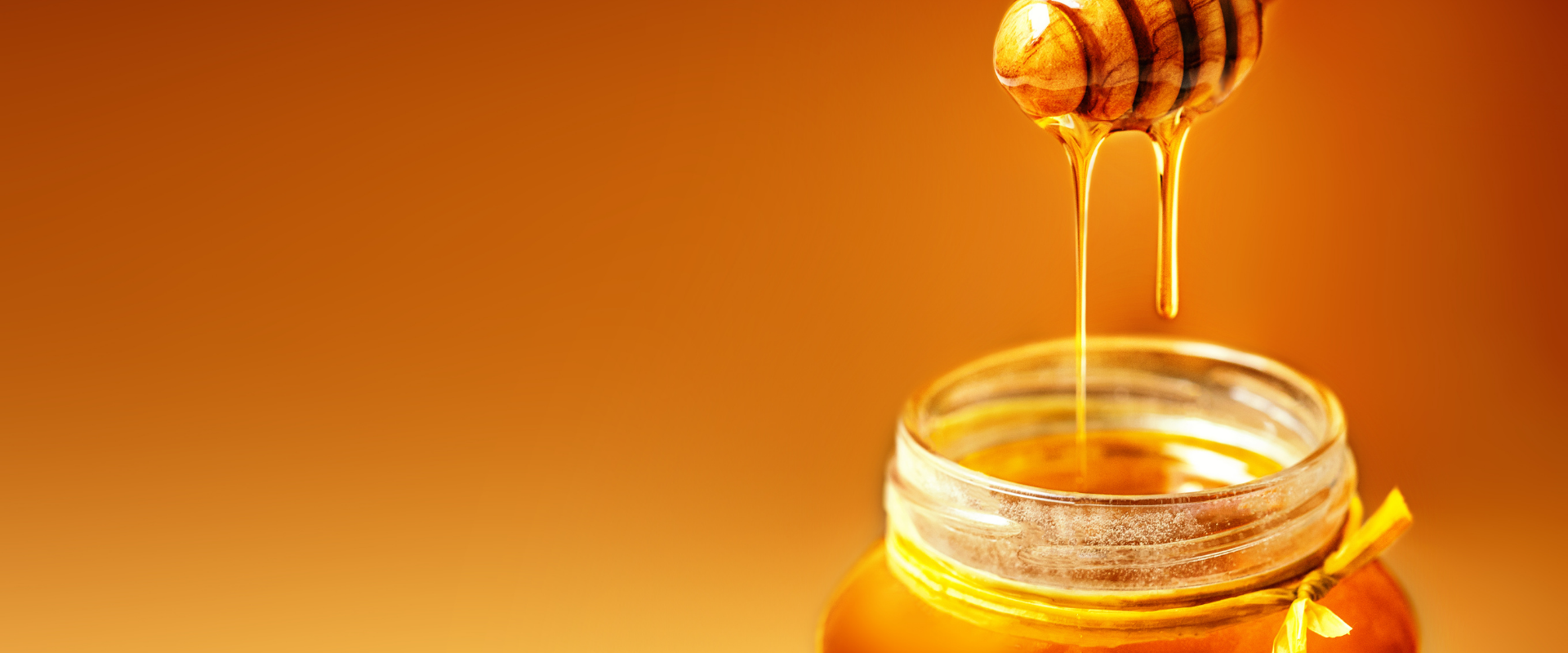 Honey - Enogastronomy - Terre di Pisa