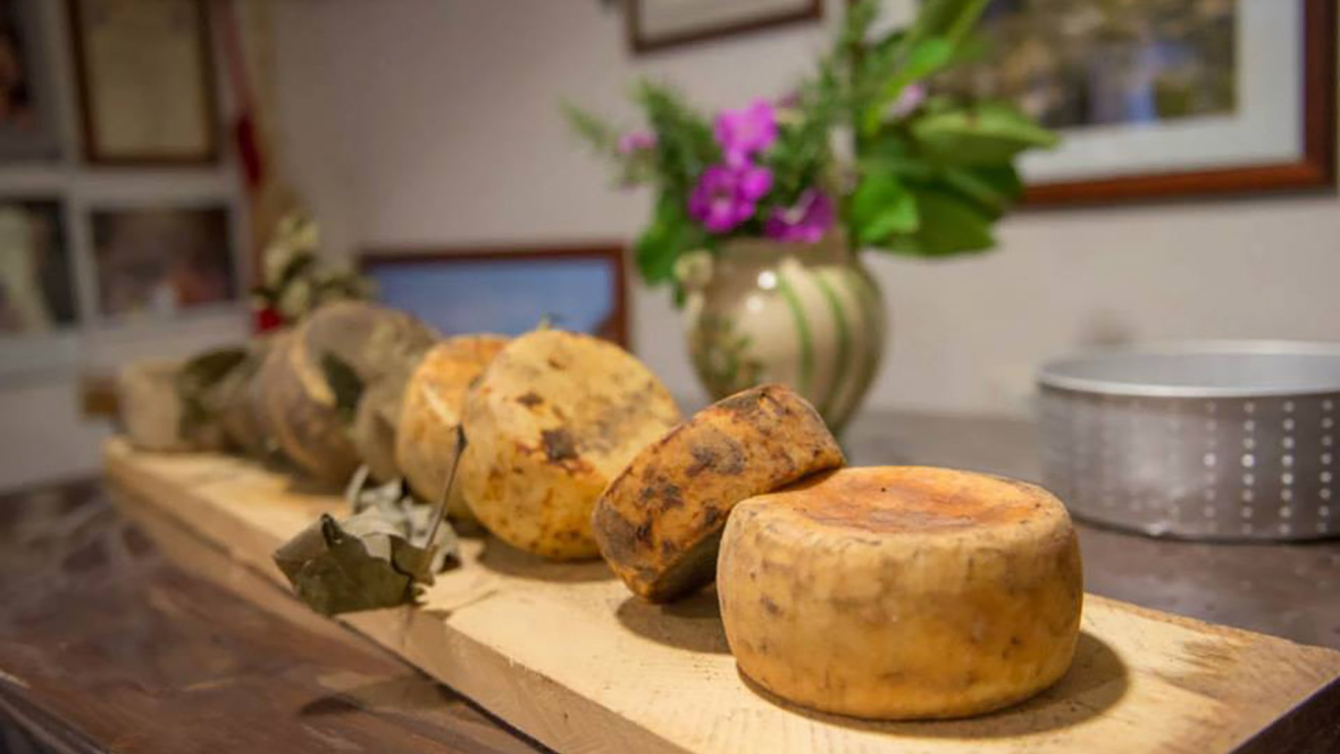 Cooking class in Cortona. Learn how to make homemade cheese
