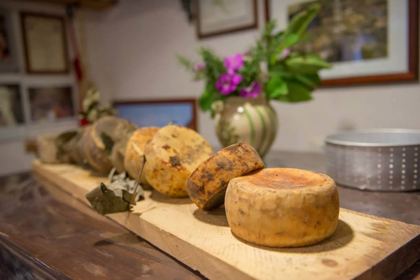 Corso di cucina a Cortona per imparare a fare il formaggio