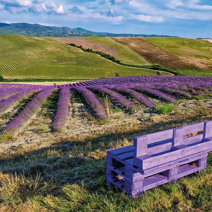 Un'esperienza unica a contatto con la natura a Santa Luce, sulle colline pisane