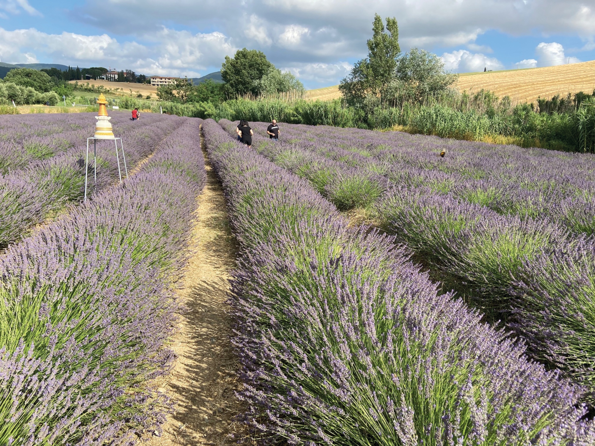 Un'esperienza unica a contatto con la natura a Santa Luce, sulle colline pisane