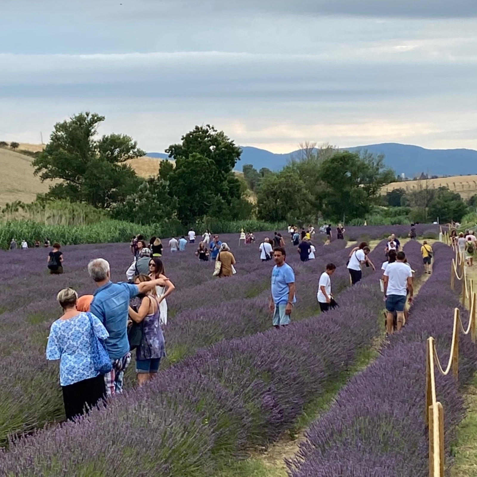 Un'esperienza unica a contatto con la natura a Santa Luce, sulle colline pisane