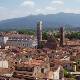 Cathedral of San Martino in Lucca seen from above with the Safari Guide tour