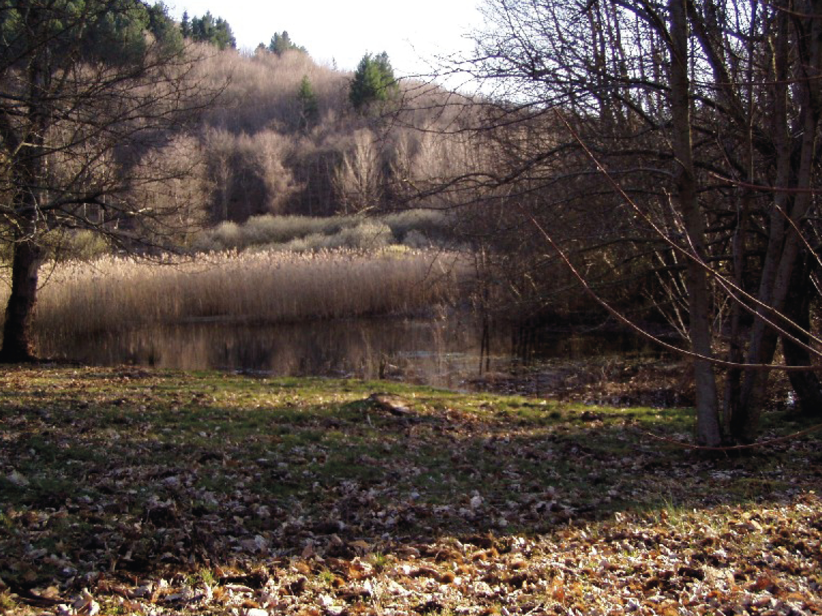 Der See von Montieri