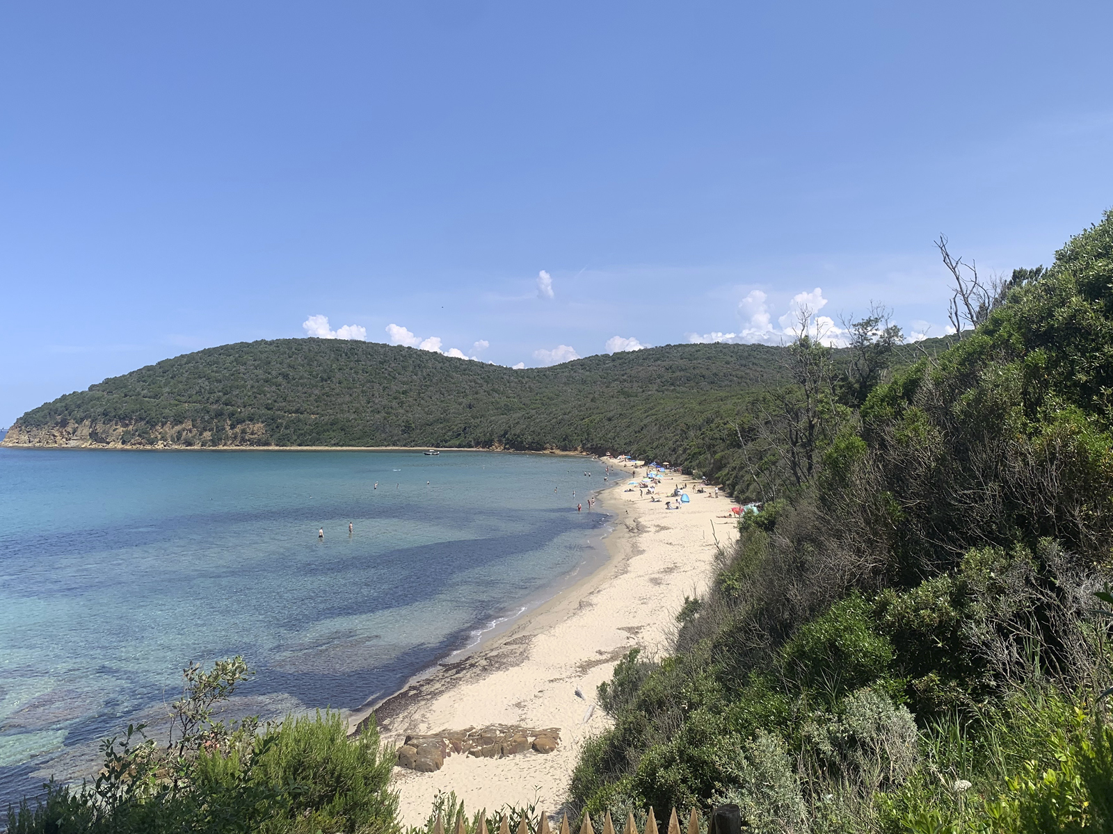 Vista di Cala Violina