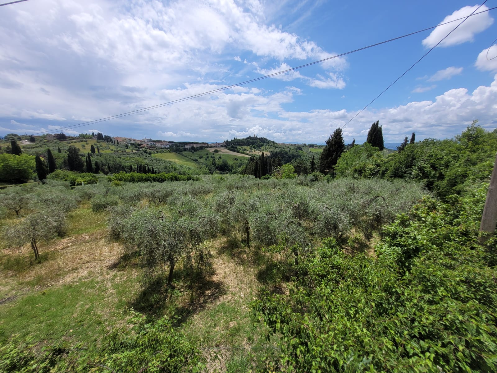 An immersive sensorial experience to discover, taste the truffle in the Chianti countryside