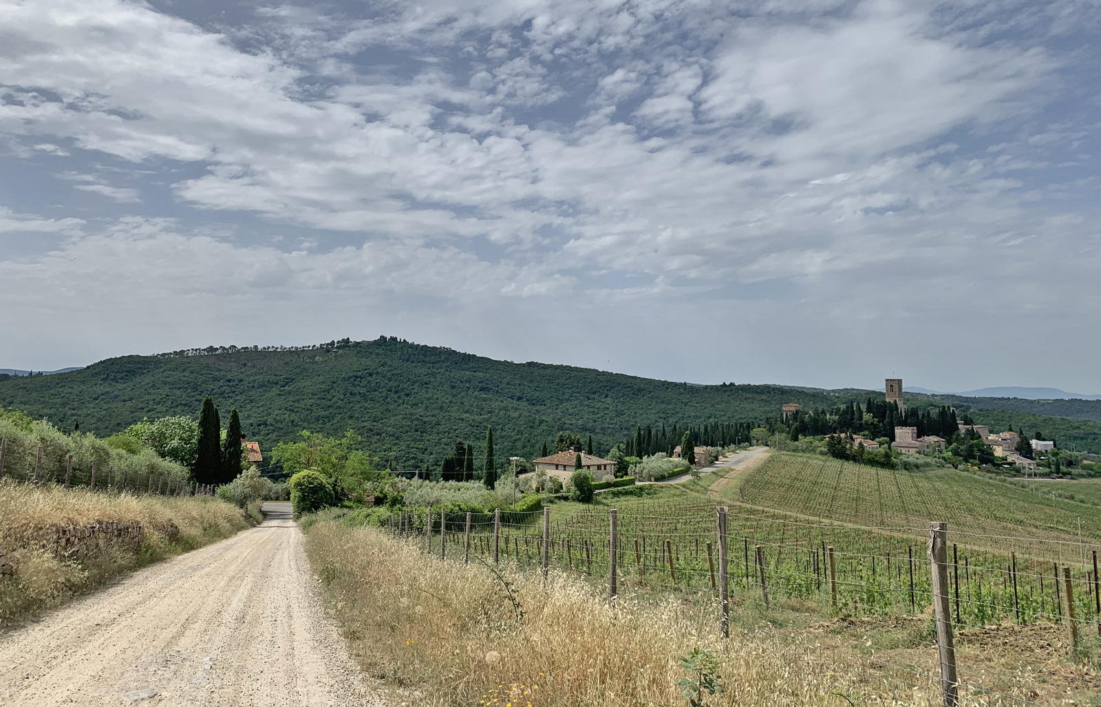 Panorama attorno alla Badia a Passignano