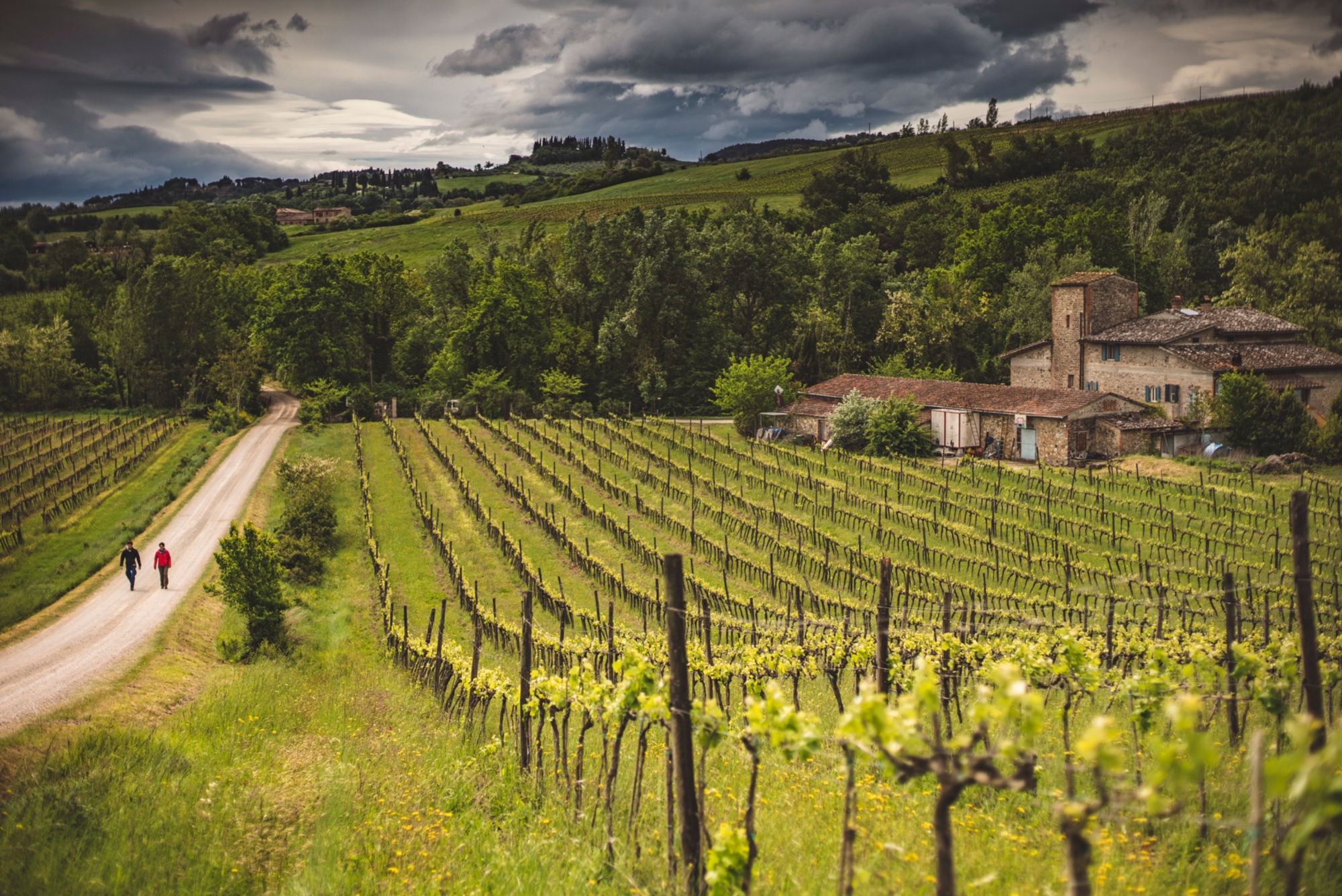 Desde San MIniato hasta San Gimignano