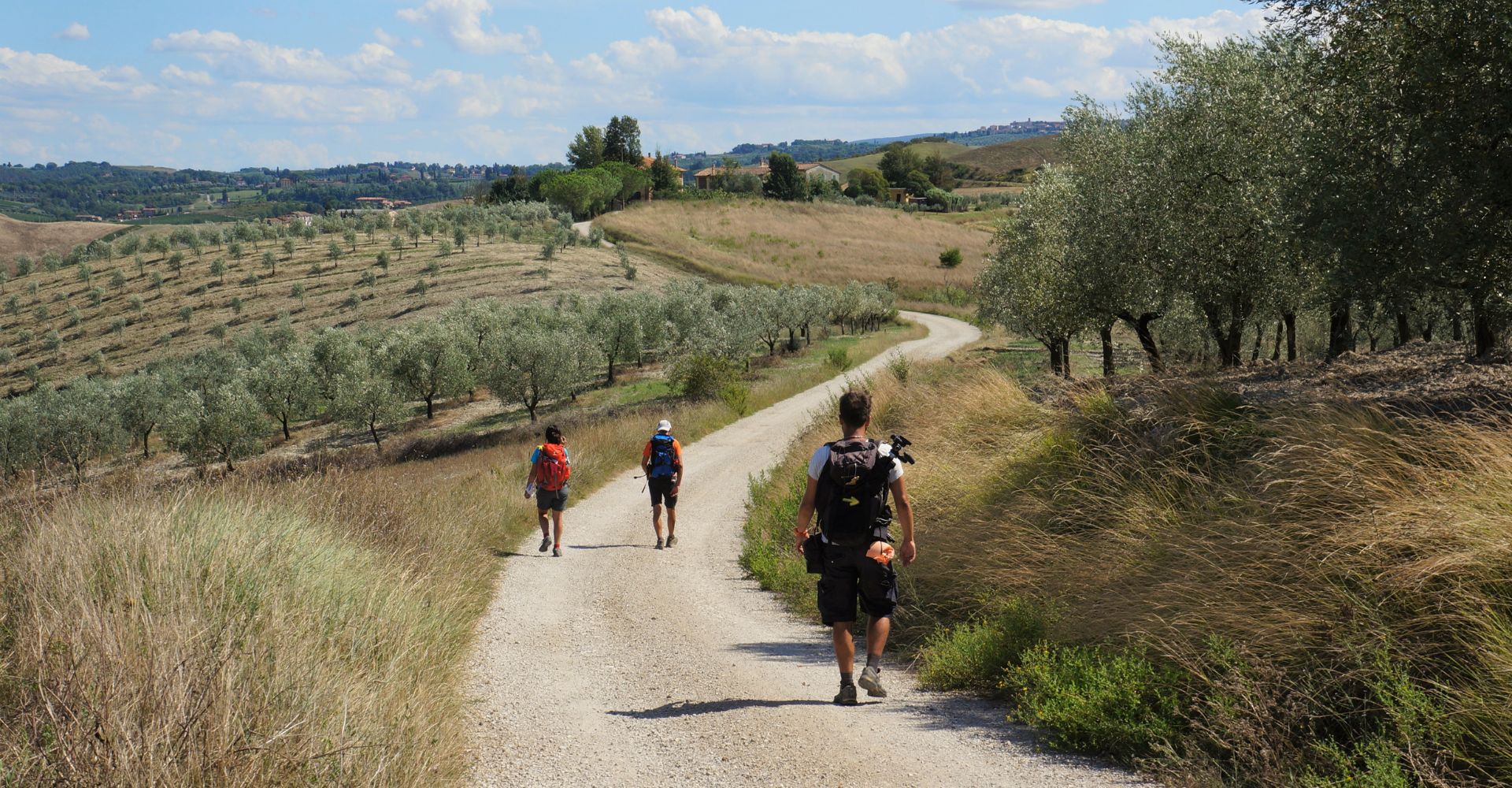 Trekking di otto giorni da Lucca a Siena lungo la Via Francigena