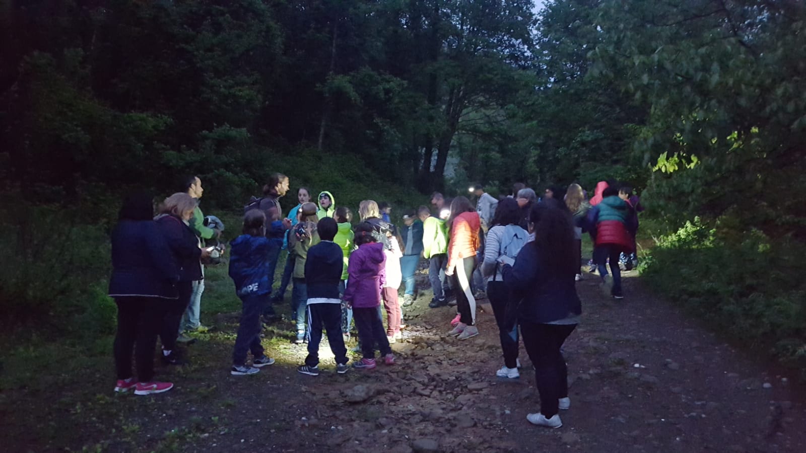 Night excursion in the woods
