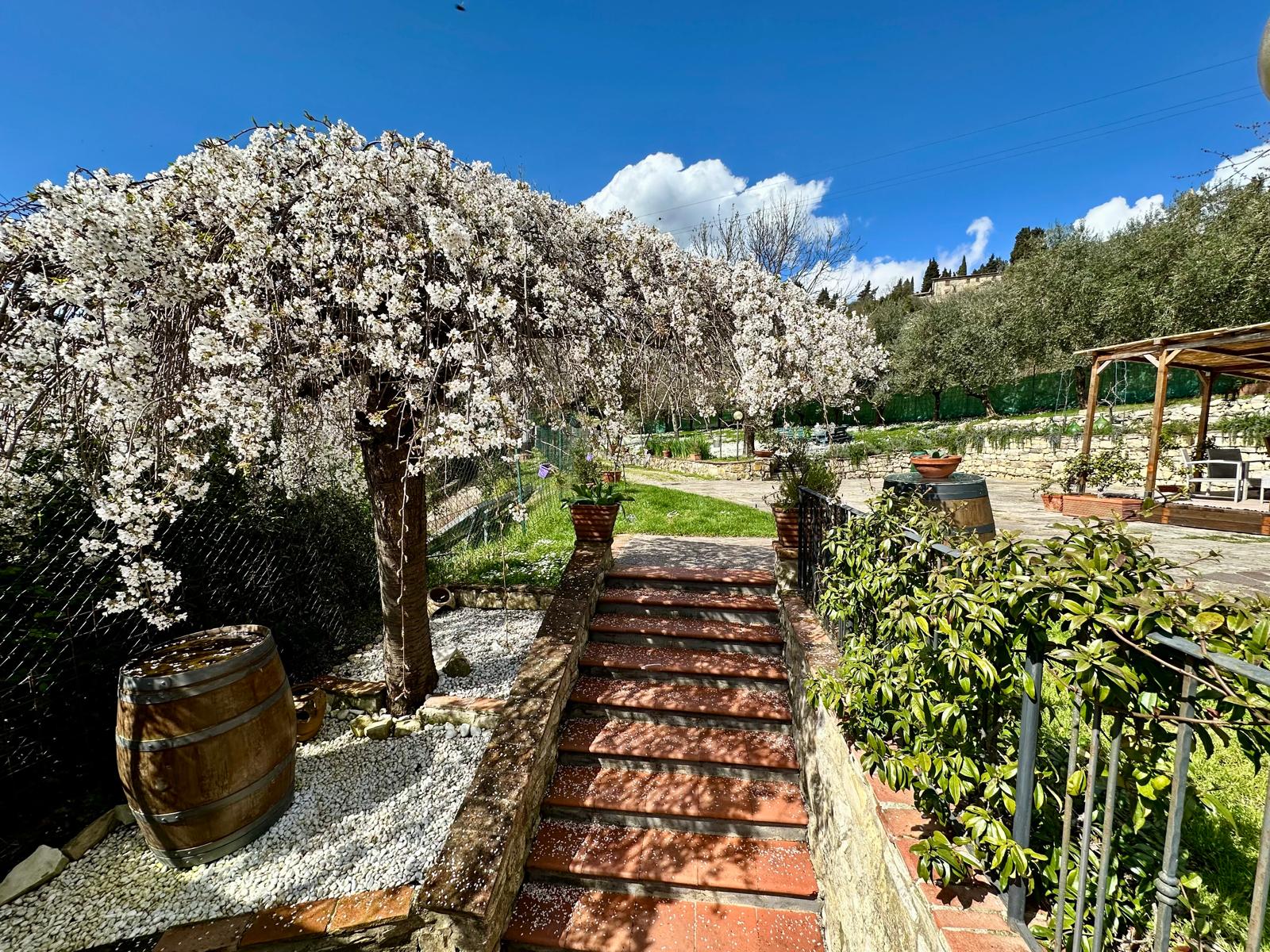 Vista giardino e ciliegio in fiore all'agriturismo Tassinaia