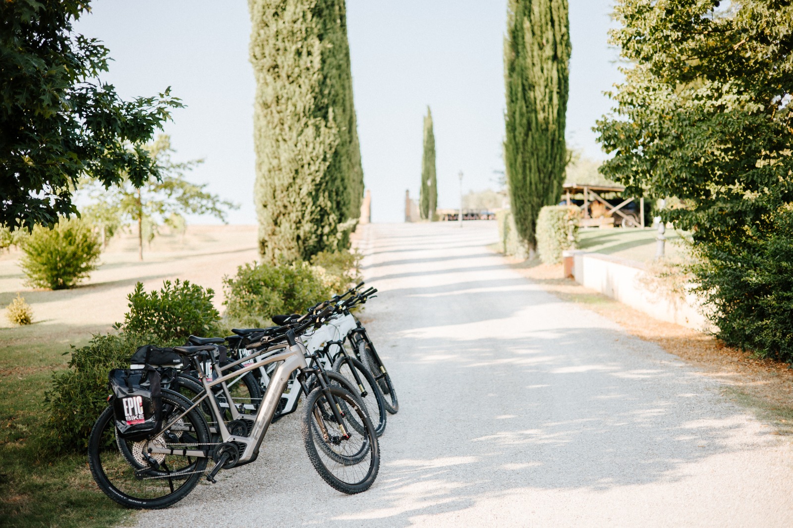 E-bike tour with wine tasting and lunch in Valdichiana