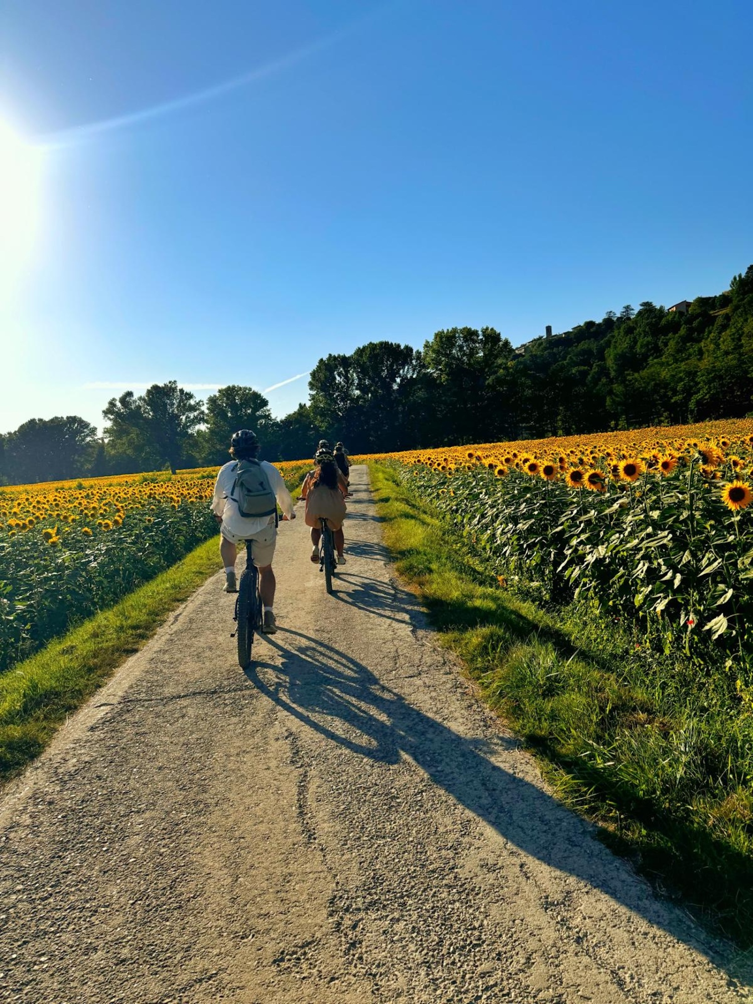 Tour in e-bike