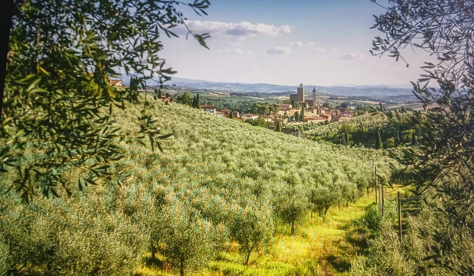 Veduta delle colline di Vinci