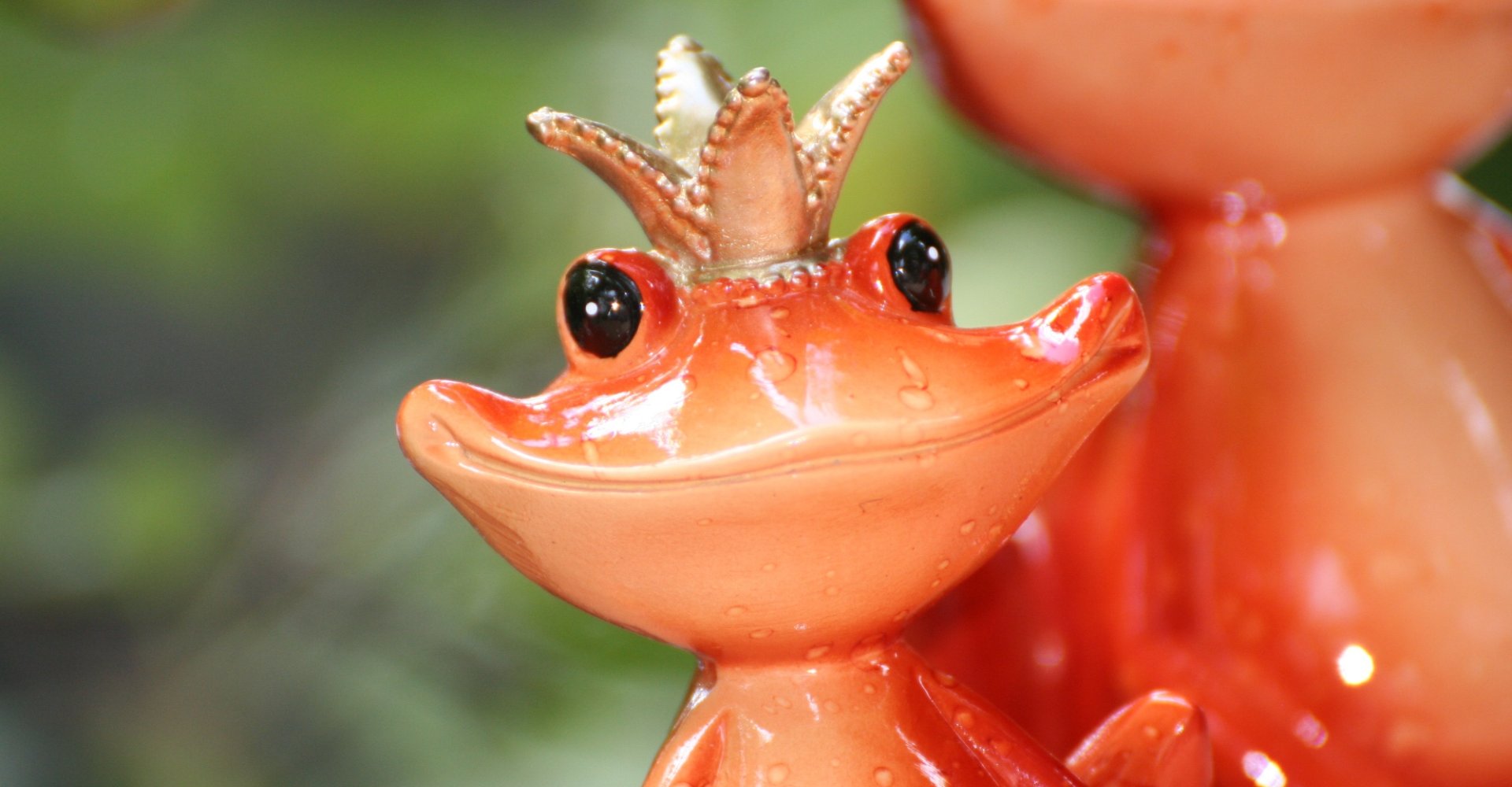 wide-mouth-4605143.jpg