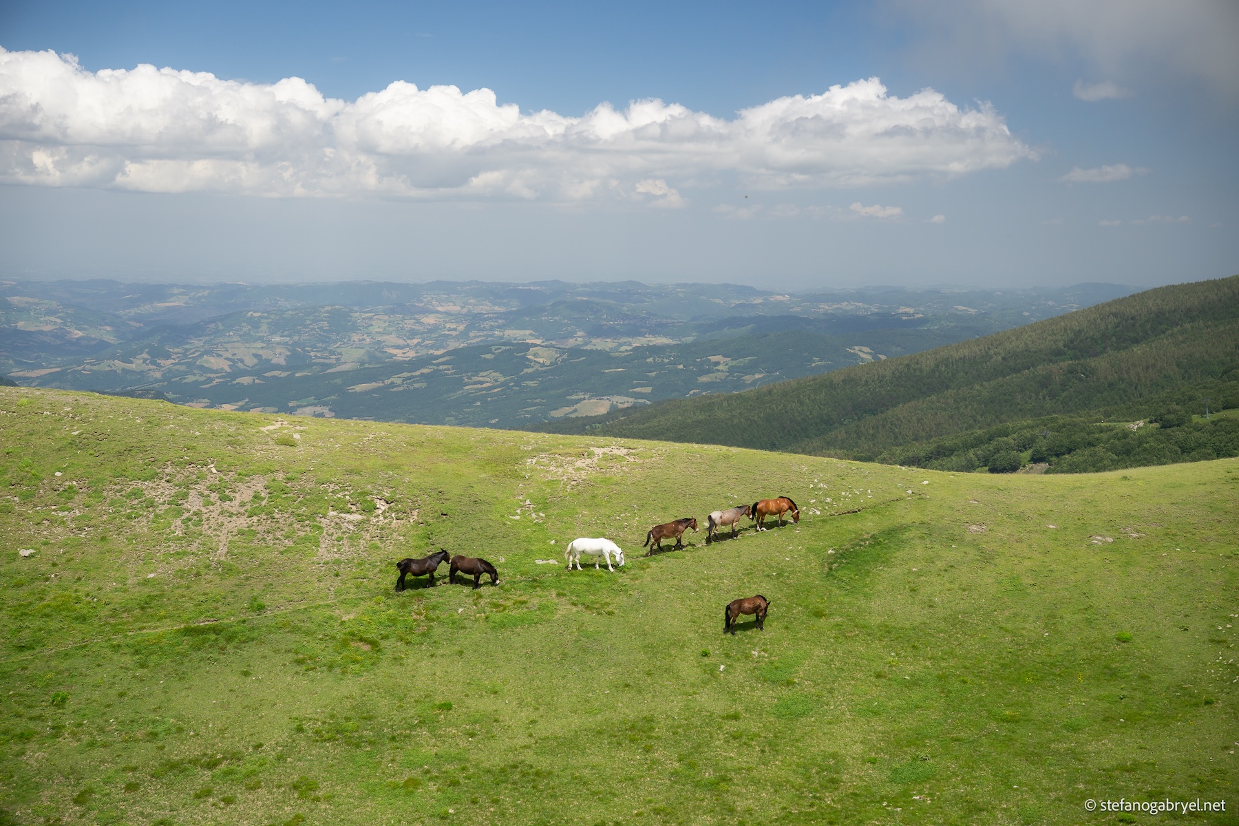 Escursione privata al Lago Scaffaiolo nella riserva del Corno alle Scale
