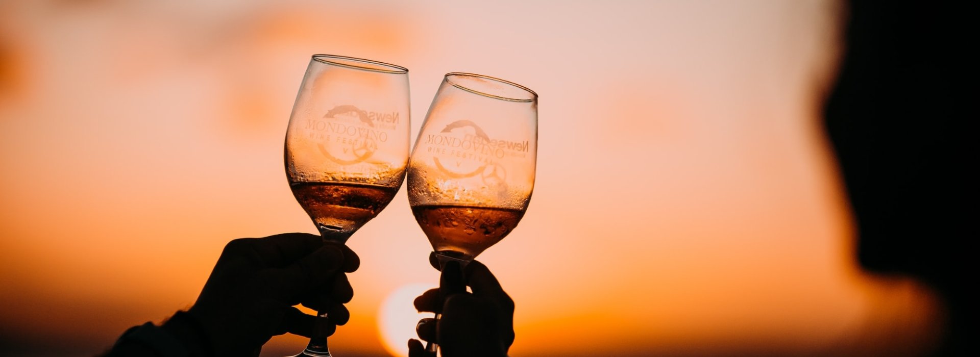 Visita con degustazione in un azienda vinicola che produce Syrah con degustazione di varie annate Visita con degustazione in un azienda vinicola che produce Syrah con degustazione di varie annate