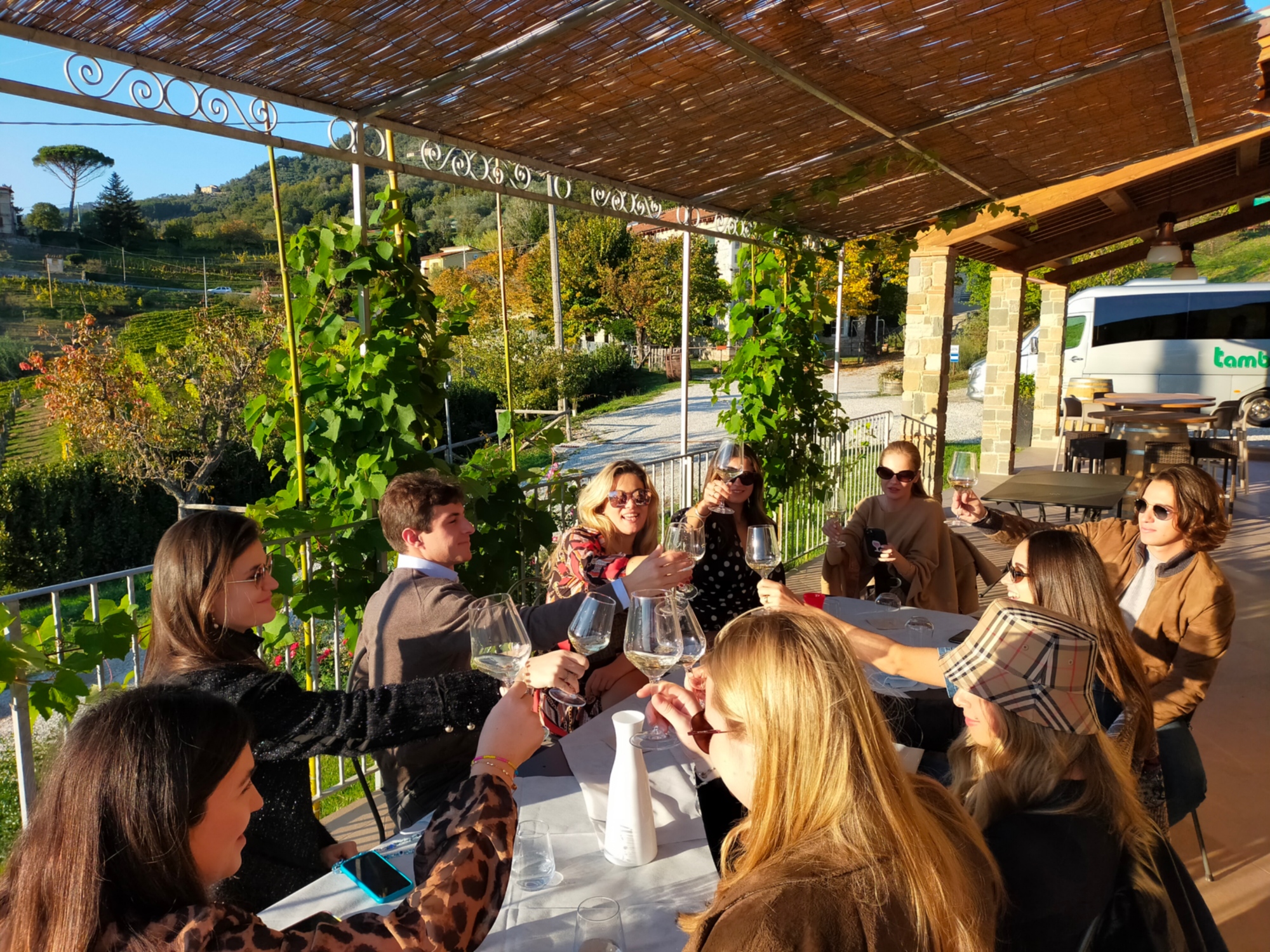 Private wine tour with sommelier around Lucca hills