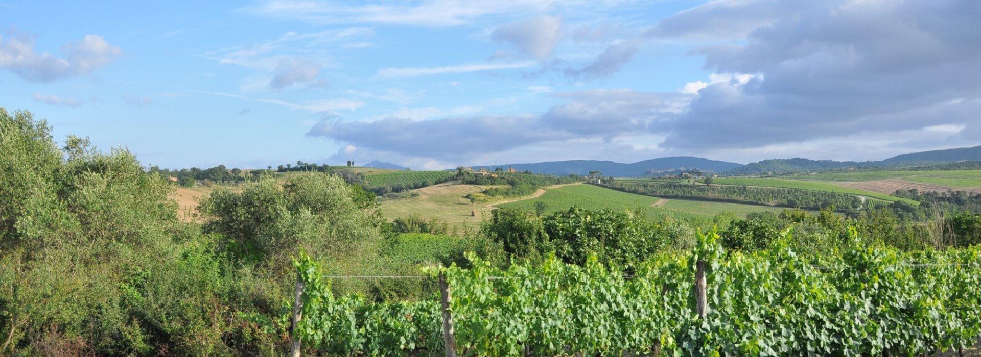 Tour guidato pedalando fra le cantine del territorio della Val di Cecina e la Maremma pisana