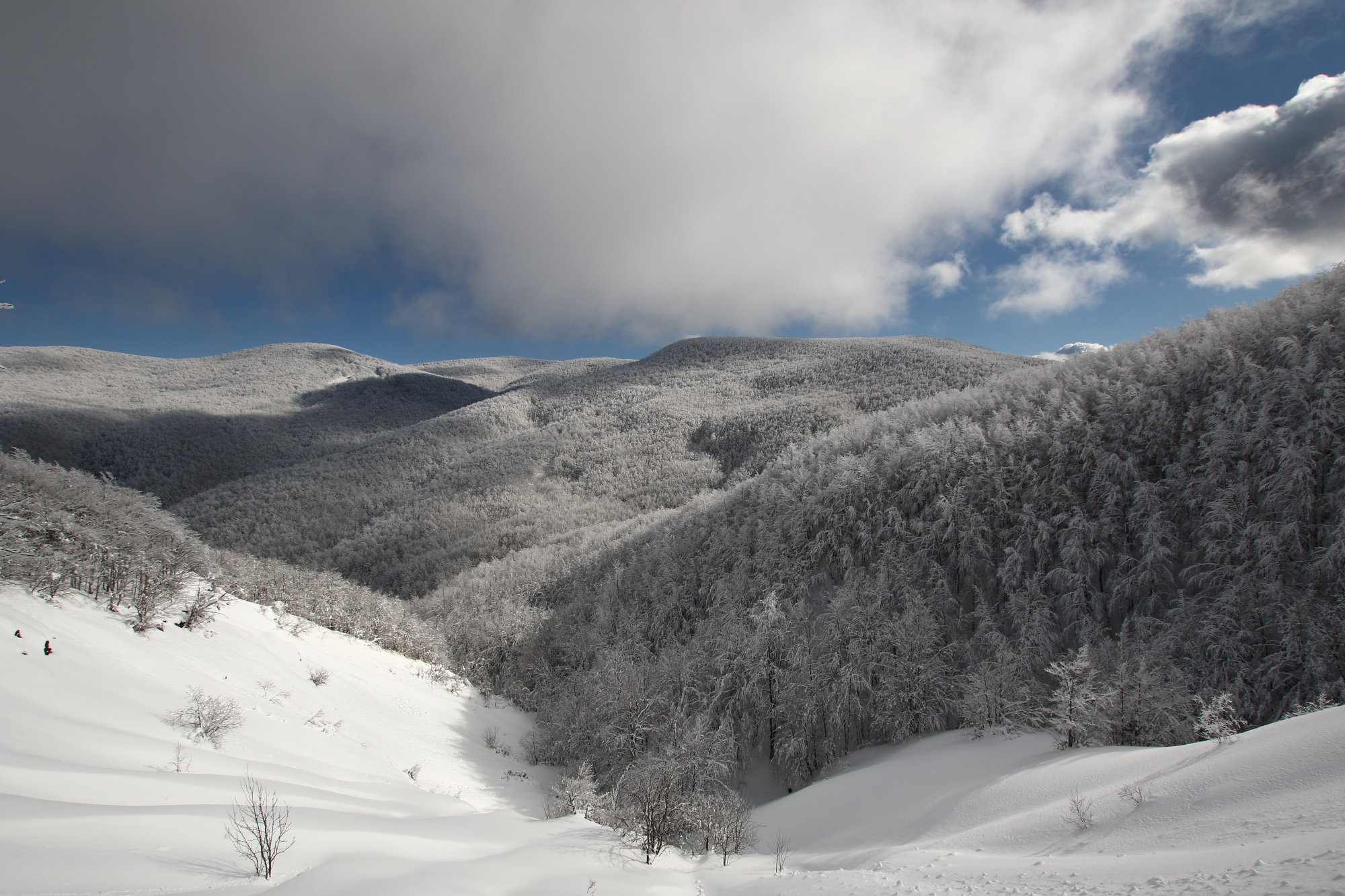 Towards Monte Spiaggi