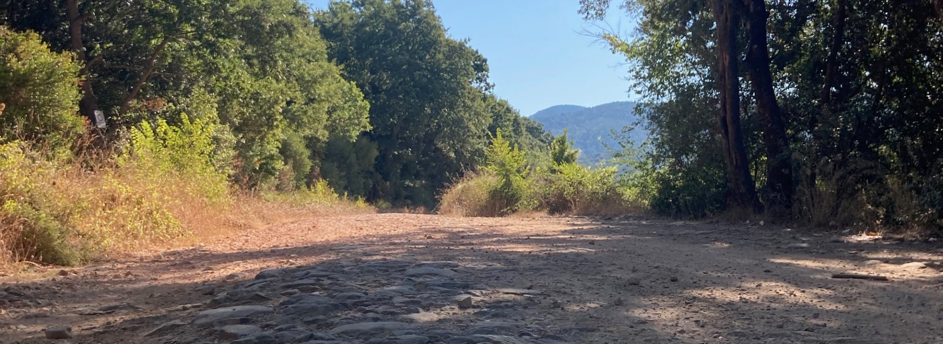 Percorso geologico-naturalistico di 14 km nel territorio delle Bandite di Scarlino, nel cuore della Maremma