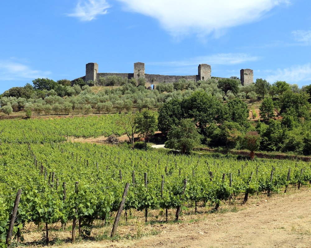 Monteriggioni, veduta dalle mura