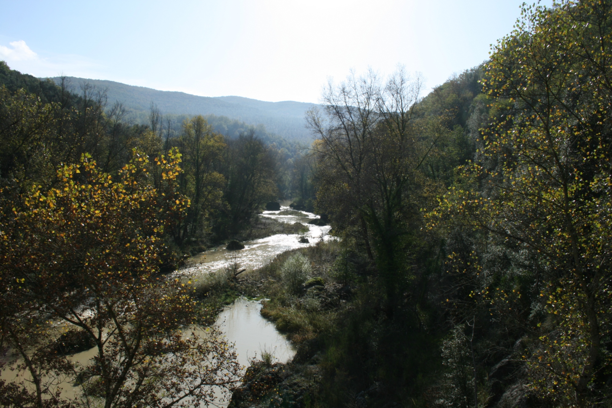 Riserva naturale Il Bogatto