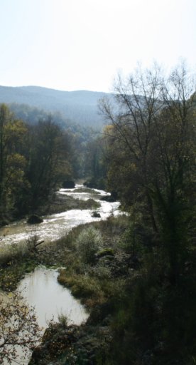 Das Naturschutzgebiet Il Bogatto