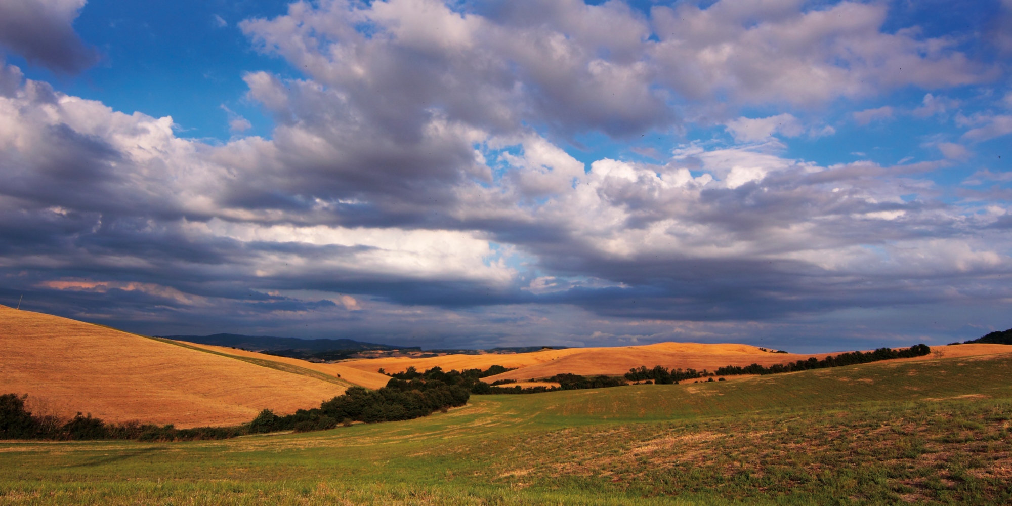 Peccioli Countryside