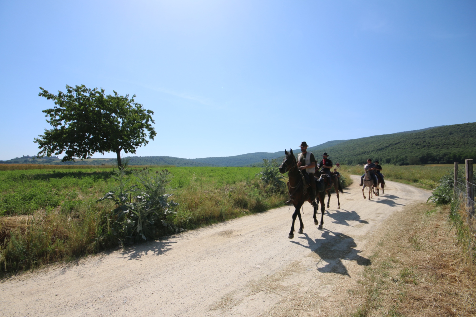 Francigena Horse Riding