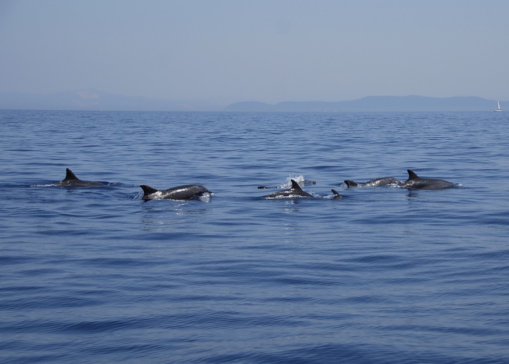 Tuscan Archipelago National Park