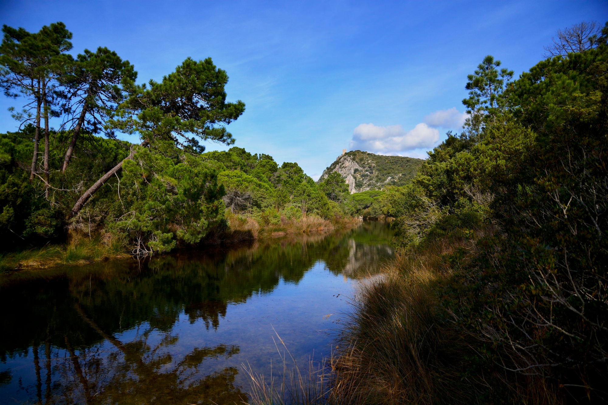 Parc Régional de la Maremme