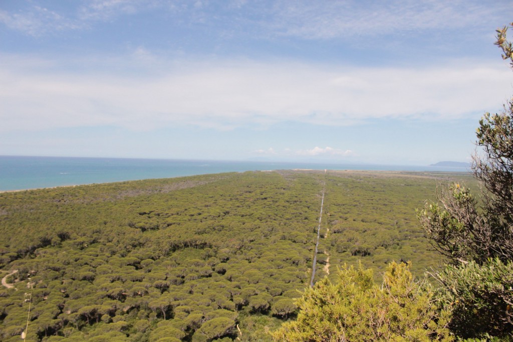 El Parque Regional de Maremma