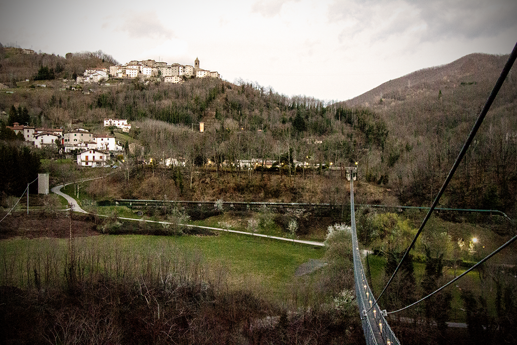 Suspended Bridge