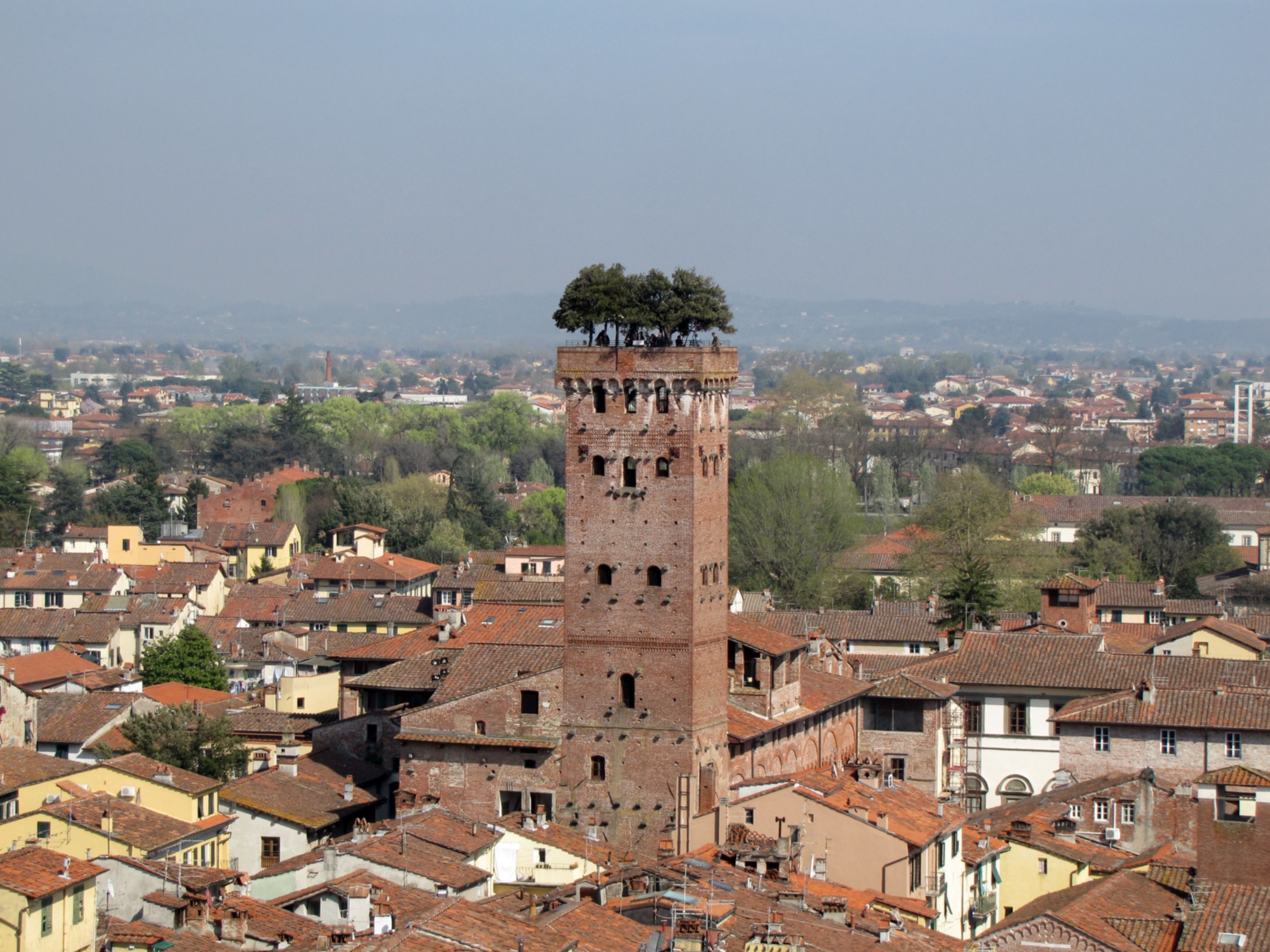 La Tour Guinigi à Lucques