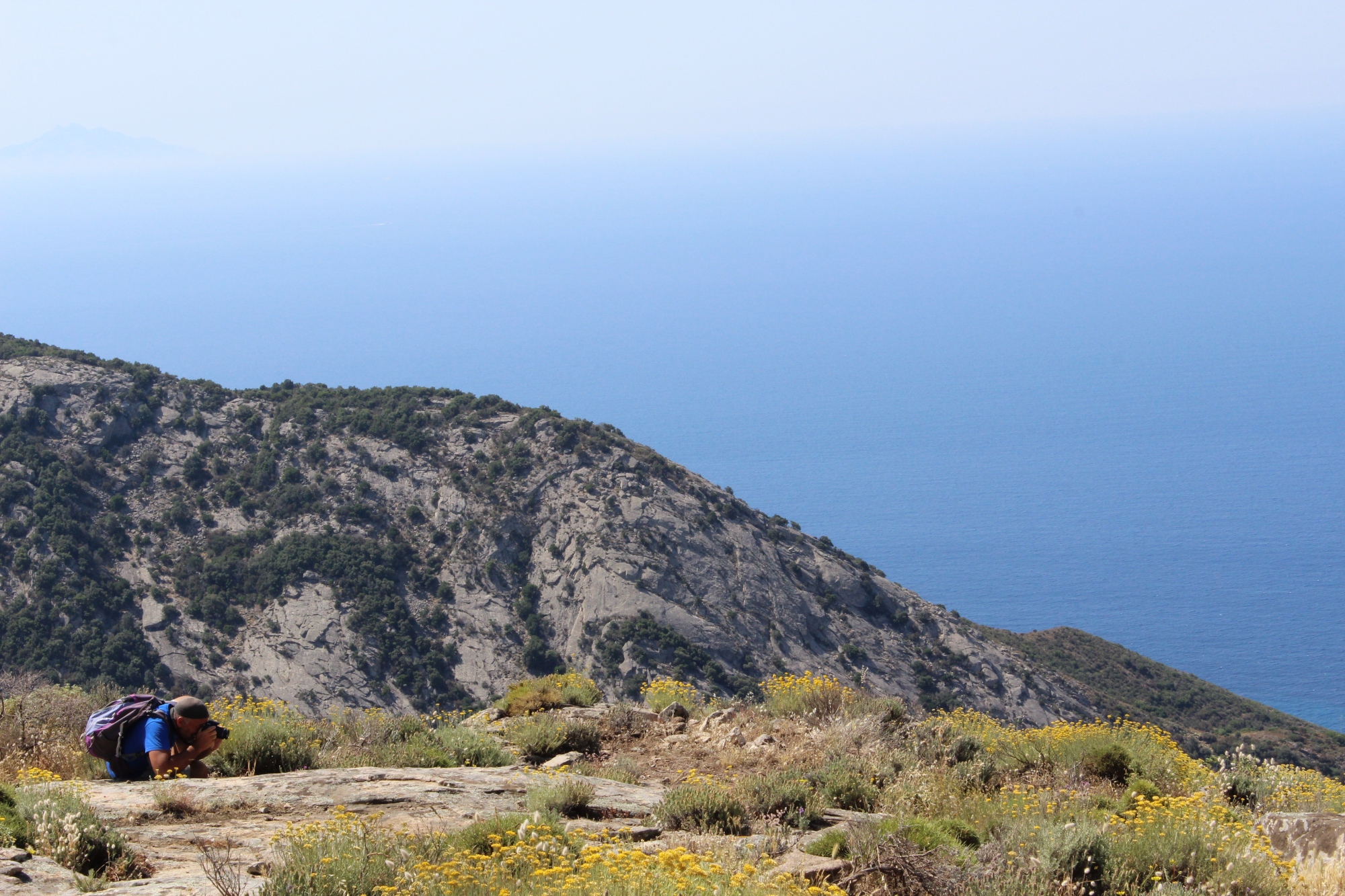 Elba Island from above