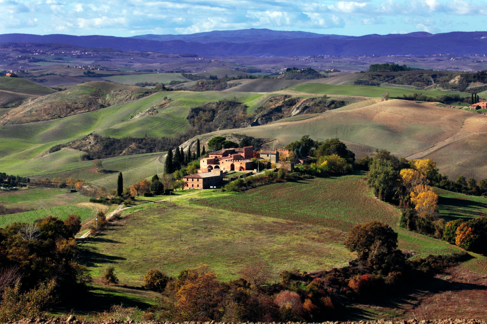 Zona tra Asciano e Buonconvento