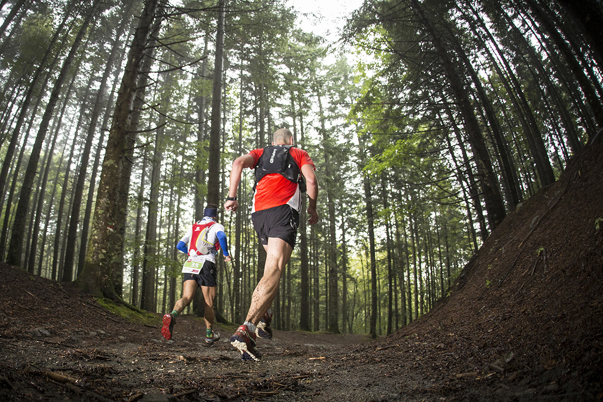 Corriendo por el bosque