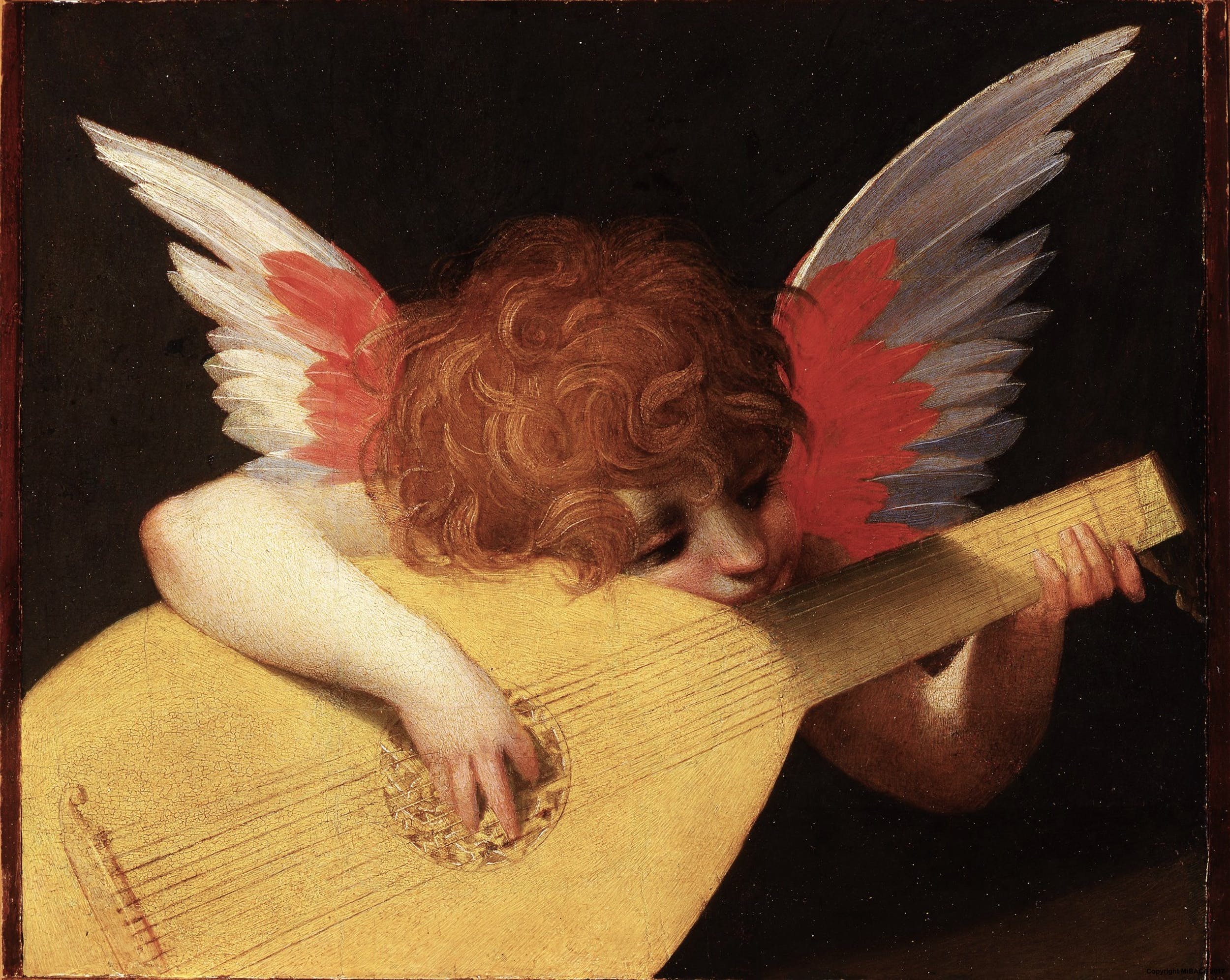 Ángelo Musico de Rosso Fiorentino