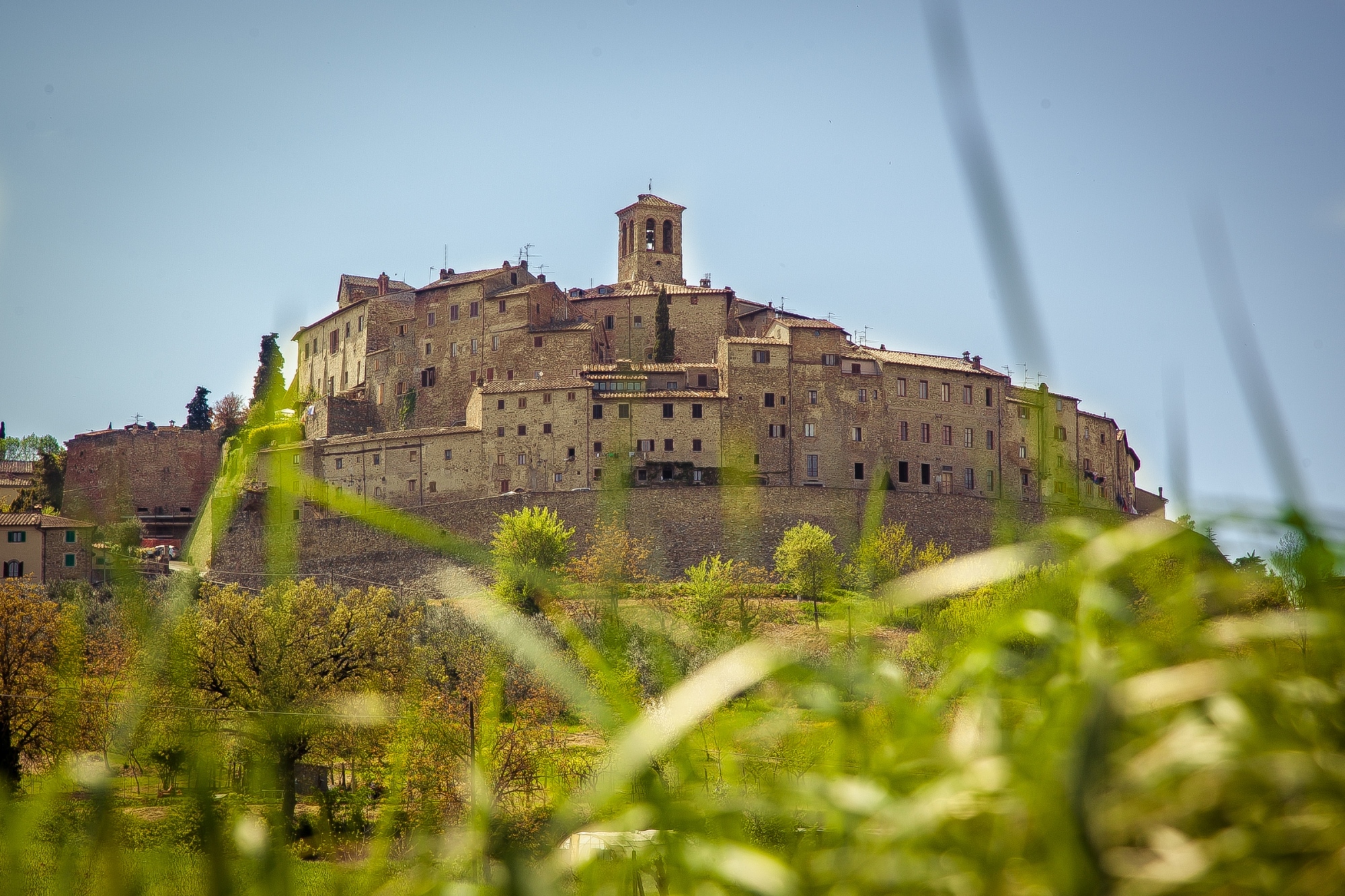 Anghiari, panorama