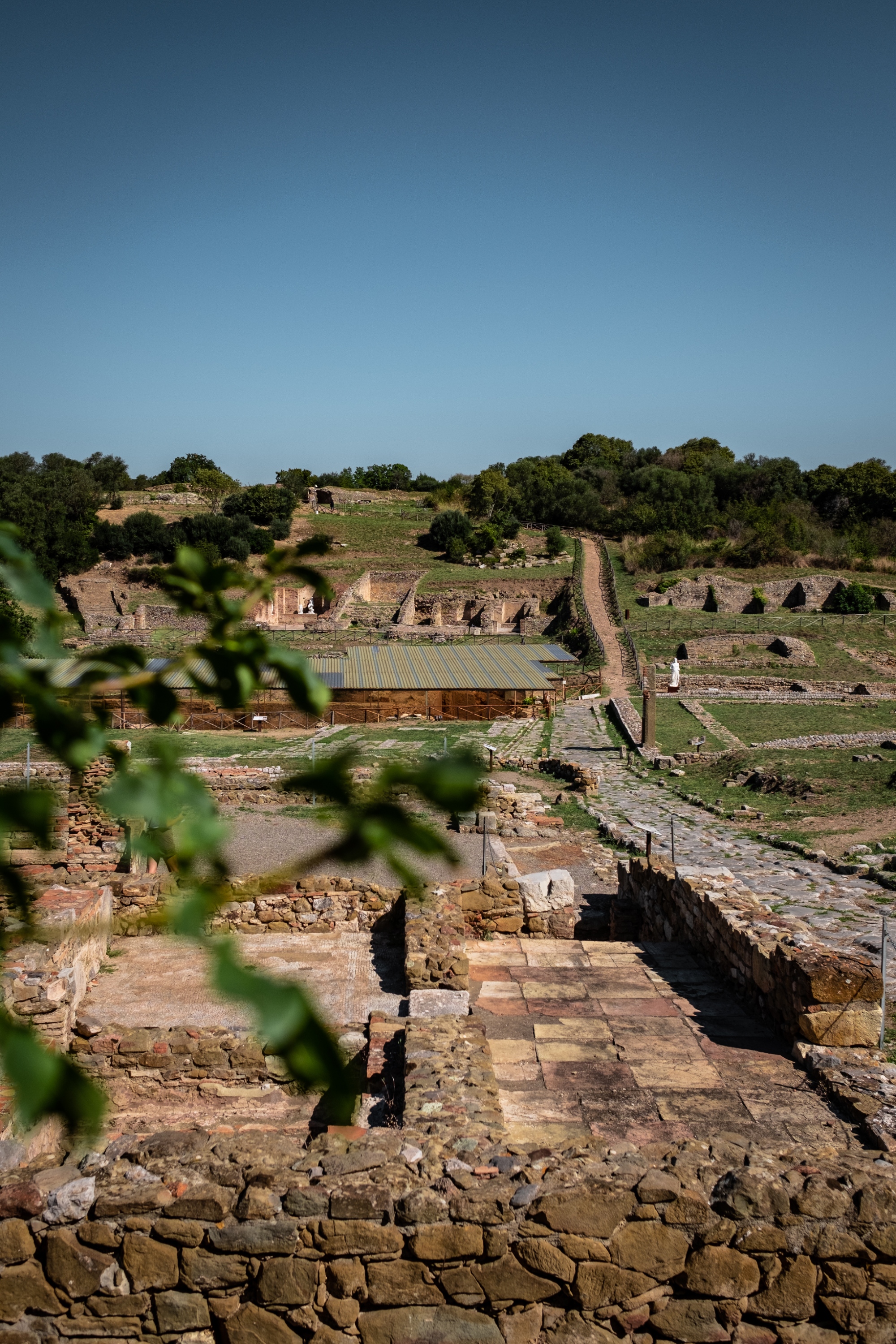 Archaeological Area of ​​Roselle