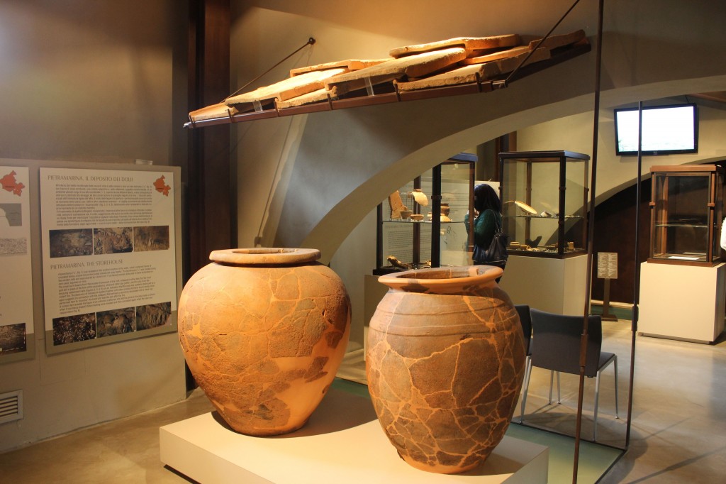 Museo Archeologico di Artimino Francesco Nicosia