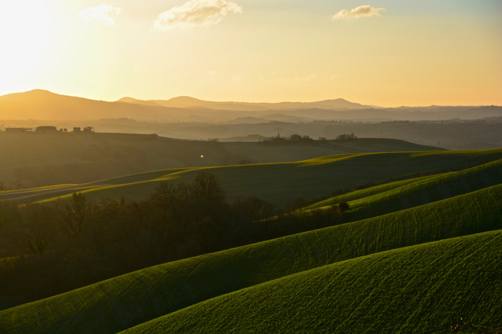 Vista panoramica di Asciano con campi verdi e cipressi, nelle Terre di Siena in Toscana.