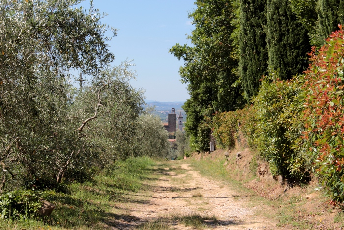 Die Strada Verde zu Leonardos Geburtshaus