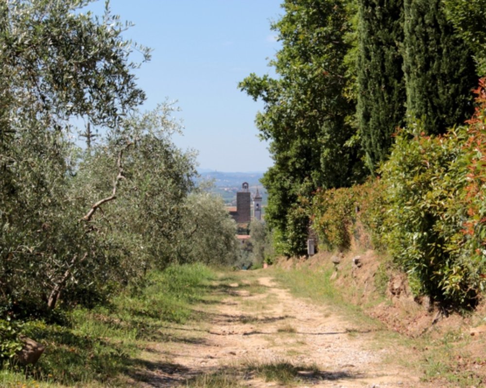 In the footsteps of Leonardo along the Strada Verde | Visit Tuscany